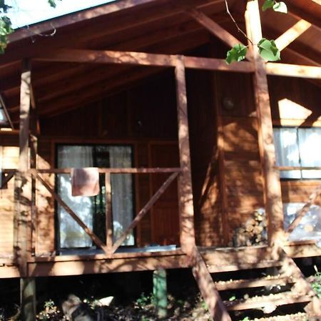 Cabana Bosque Viejo Villa Las Trancas Eksteriør billede