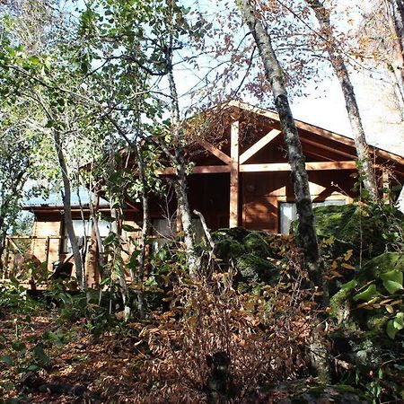 Cabana Bosque Viejo Villa Las Trancas Eksteriør billede