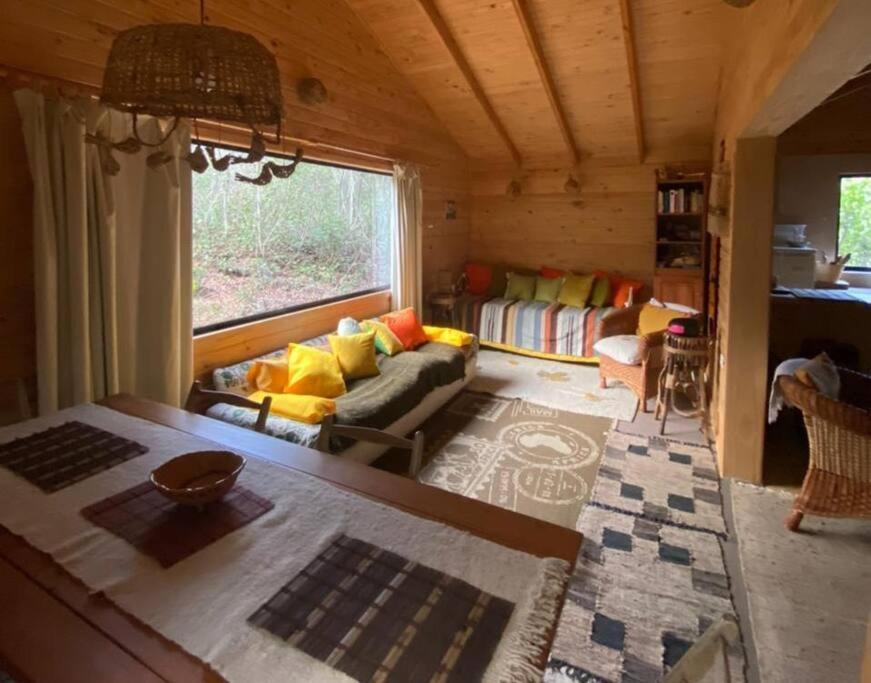 Cabana Bosque Viejo Villa Las Trancas Eksteriør billede