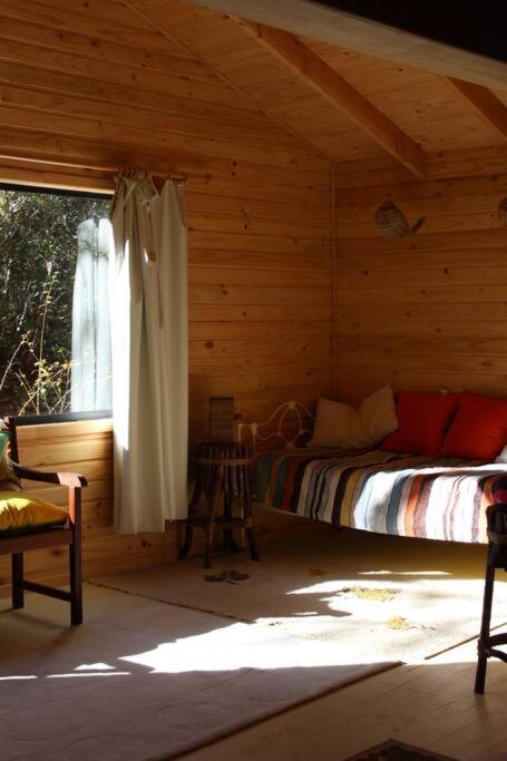 Cabana Bosque Viejo Villa Las Trancas Eksteriør billede