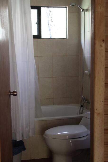 Cabana Bosque Viejo Villa Las Trancas Eksteriør billede