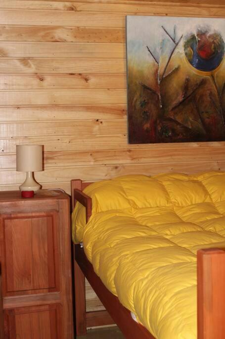 Cabana Bosque Viejo Villa Las Trancas Eksteriør billede