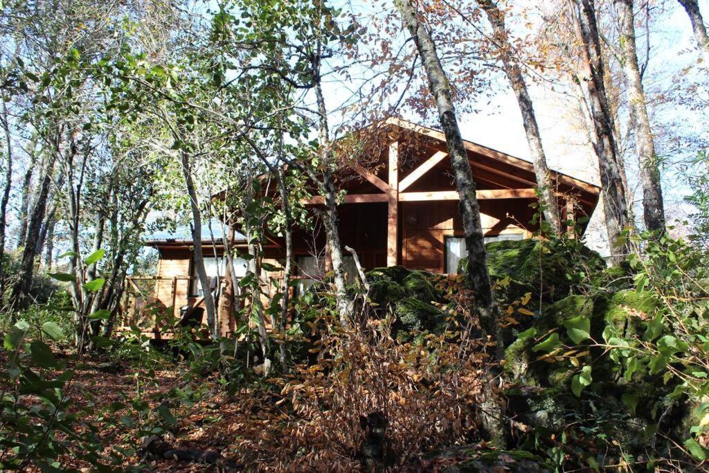 Cabana Bosque Viejo Villa Las Trancas Eksteriør billede