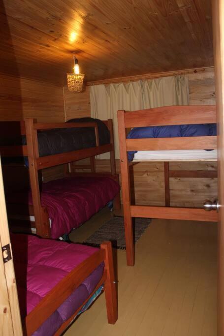 Cabana Bosque Viejo Villa Las Trancas Eksteriør billede
